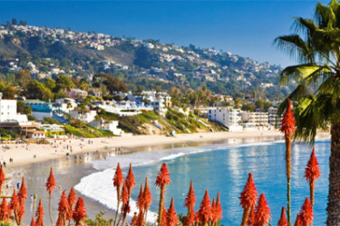 Ocean and beach with flowers